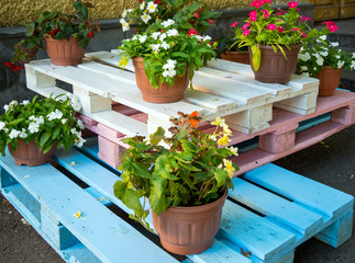 Flower pots stand on wooden pallets painted in different colors