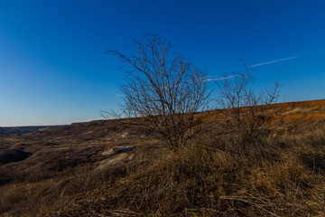 Morning winter snowless landscape