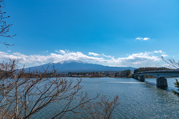 Obraz premium View of Mount Fuji with full bloom pink cherry tree flowers at Lake Kawaguchi Park in springtime sunny day and blue sky natural background. Fujikawaguchiko Cherry Blossoms Festival. Yamanashi, Japan