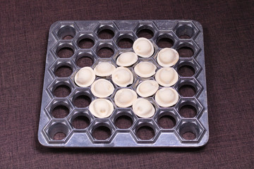 Dumplings lie in cells dumpling device