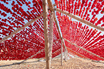 Dried vegetables in the line at farm