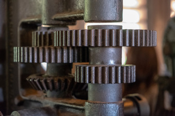 engine gear wheels, closeup view