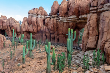 Rusty rail road next to the bushes of cactus