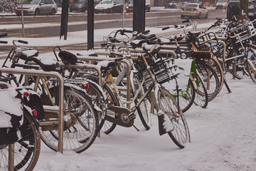 Fototapeta na wymiar Rare snow in Amsterdam fell asleep bicycles