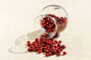 rose hips dried in a glass vase