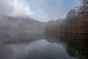 Swamp of Santa Fe with fog, Montseny natural park, Catalonia, Spain