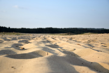 Bledow Desert (Pustynia Bledowska). Polish dessert between Bledow and the villages of Chechlo and Klucze in Poland. © arkadiwna