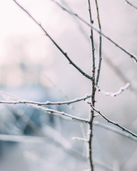 Winterlandschaft in Ostdeutschland