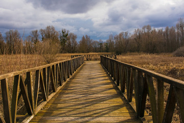 Obraz premium A wooden walkway in the Kopacki Rit Nature Reserve in winter in north east Croatia. Located by the Serbian border, close to the confluence of the Drava and Danube rivers, it is one of the largest and 