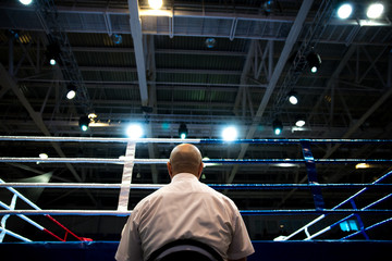 Boxing referee