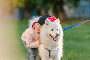 little girl walks with her dog Samoyed in the park