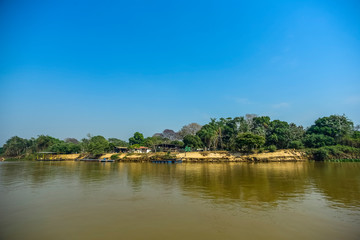 River landscape  and jungle,Pantanal, Brazil