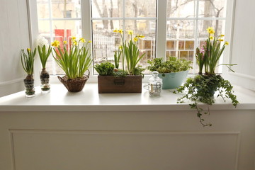 Spring flowers, yellow daffodils and daisies on the window. Hello March, April, May.