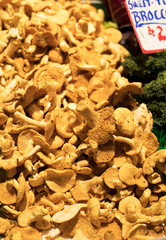 market chanterelles 