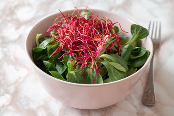 Salad with lamb's lettuce and fresh red beet sprouts