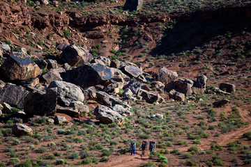 Rock climbers in the desert