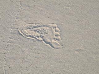 small footprint of babys left foot on the sand