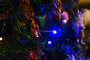 Obraz na płótnie Canvas Illuminated Christmas tree