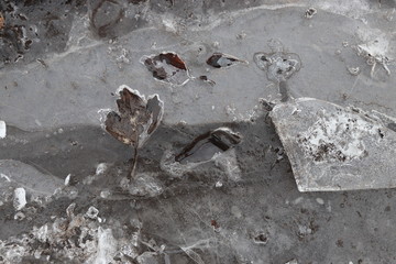 Autumn leaves in the ice outdoor on the ground in daylight. End of winter concept. First spring days concept. Art work