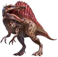 Foto op Plexiglas Spinosaurus dinosaurus 3D illustratie © warpaintcobra
