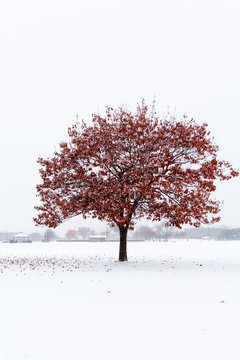 On the cusp of winter