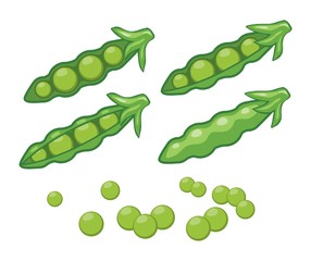 vector pods of green peas