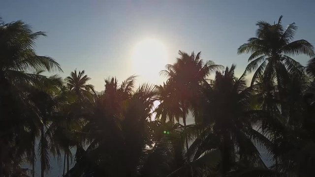 sunset through the palm trees on the island of bora bora, aerial view.