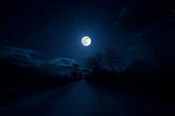 Foto auf Acrylglas Vollmond Mountain Road durch den Wald in einer Vollmondnacht. Malerische Nachtlandschaft des dunkelblauen Himmels mit Mond. Aserbaidschan