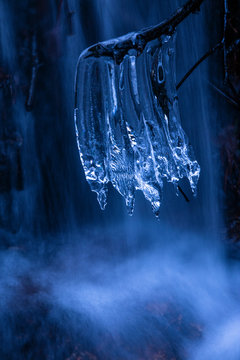 Closeup twig with fragile clean icicles on background of amazing waterfall on cold winter day