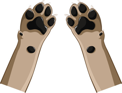 Art of two brown dog paws. Pair of dog paws