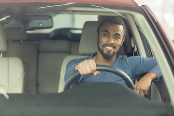 Cheerful young man sitting in his new automobile
