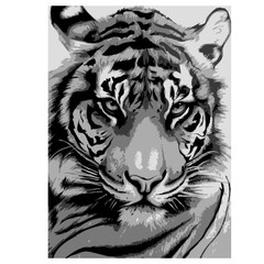 Tiger vector illustration hand drawn