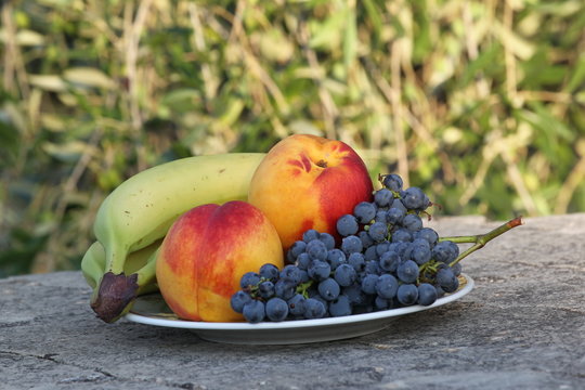 obstteller