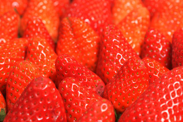 Erdbeeren