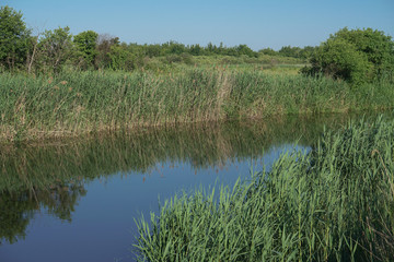 Pretty river in rural areas. European landscape of Russia and Siberia. Beautiful tranquil view of nature. Stock background, photo.