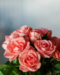 Pink Rosa Rose Flower Bunch