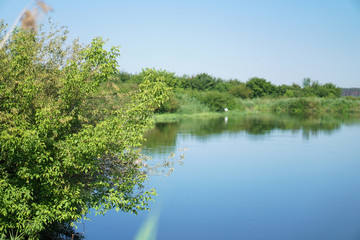 Pretty river in rural areas. European landscape of Russia and Siberia. Beautiful tranquil view of nature. Stock background, photo.