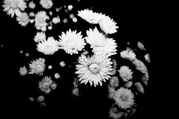 abstract floral background with flowers