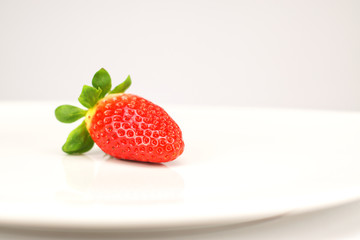 Erdebeere
