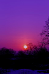 sunset in the forest