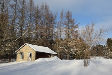 Cabane au Canada