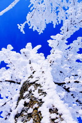 blue background with space for text or image