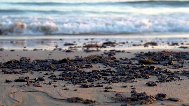 2015 - tar and oil collect on the beach after the massive beach cleanup effort following the Refugio Oil Spill in Santa Barbara, California.