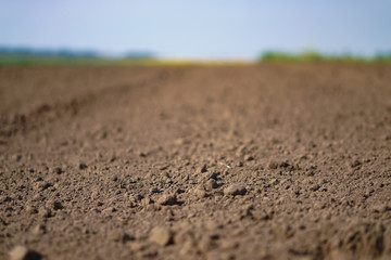 Landscape with agricultural land, in slope, recently plowed and prepared for the crop, with a plantation. summer field. Stock background, photo