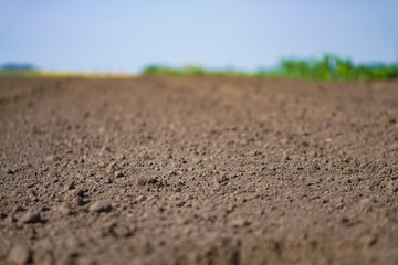Landscape with agricultural land, in slope, recently plowed and prepared for the crop, with a plantation. summer field. Stock background, photo