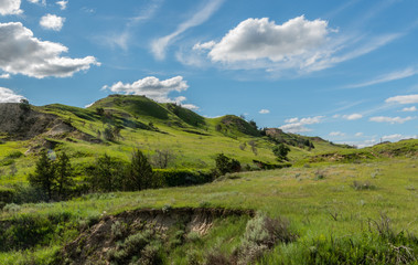 Naklejka premium Green Hills On Prairie