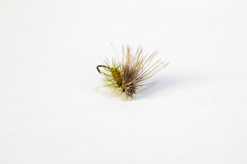 Trout Fly Fishing Lure on White BG