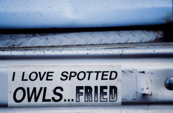 Rural Oregon, circa 1990. Spotted Owl Bumper Sticker. Found on an old pickup truck in a logging community in late 1980 in Oregon.
