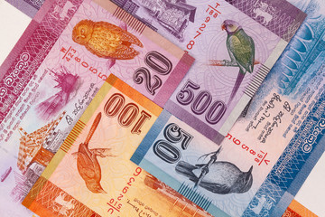 The symmetrical composition of Sri Lankan banknotes.