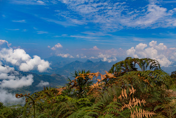 Parque de las nubes Jericó